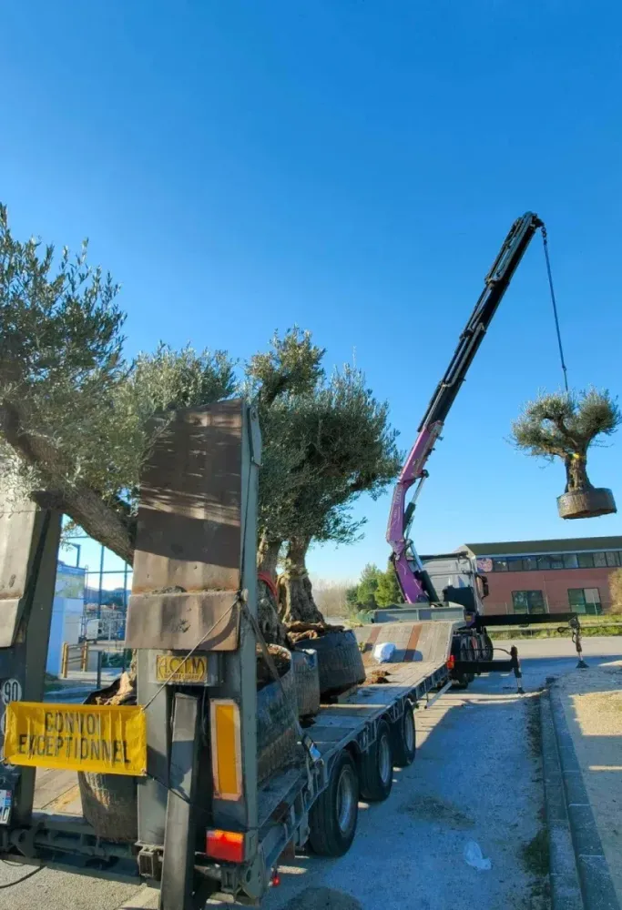 camion-bras-transport-industriel-cote-d-azur-hr-levage (9)